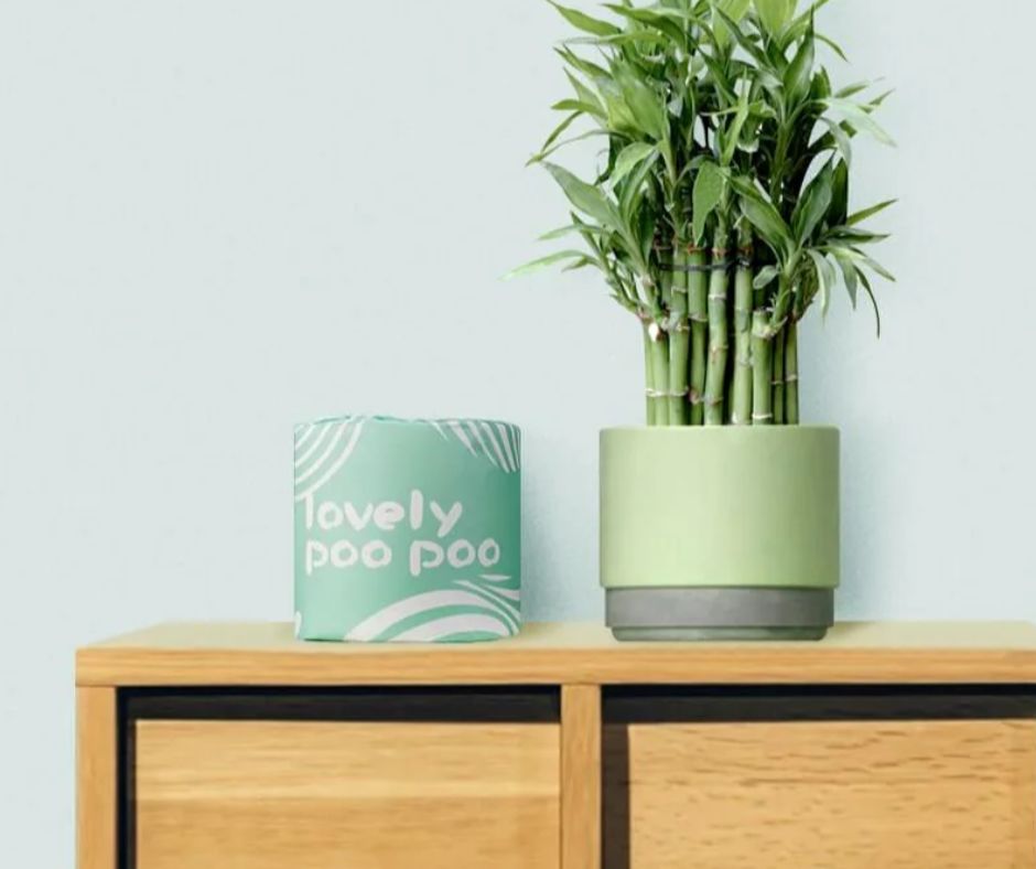 Change Your Toilet Paper, Save a Forest | Discover the Best Bamboo Toilet Paper